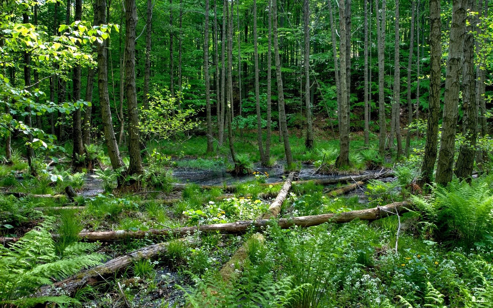 SuperPack_Beautiful_Nature_HD_Wallpapers_Part_1984.jpg
