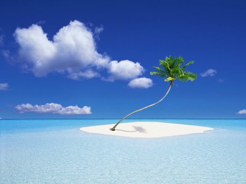 nature_059_1600x.jpg