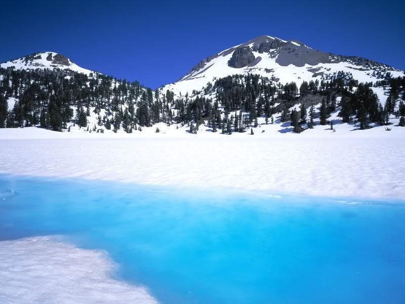 nature_061_1600x.jpg