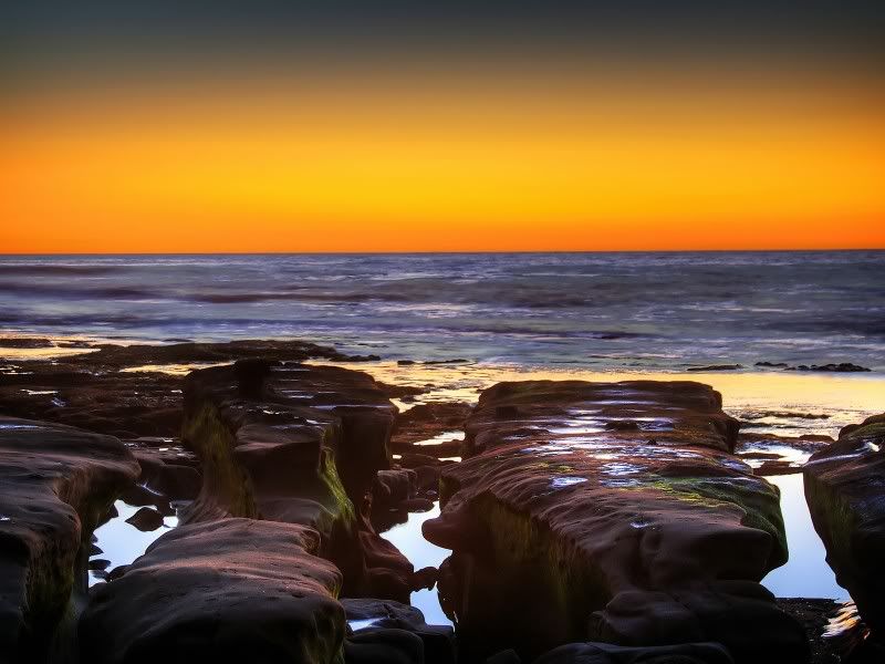nature_063_1600x.jpg