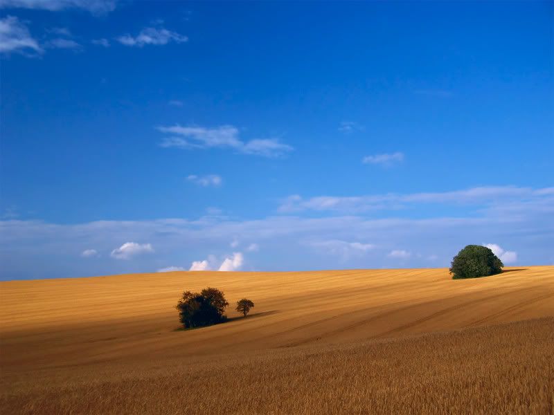 nature_066_1600x.jpg
