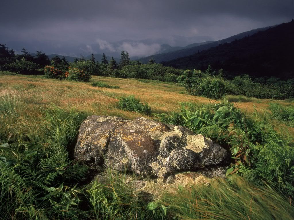 nature_077_1600x.jpg