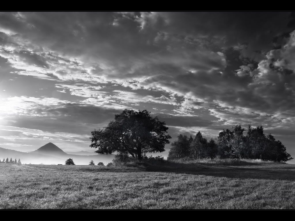 nature_080_1600x.jpg