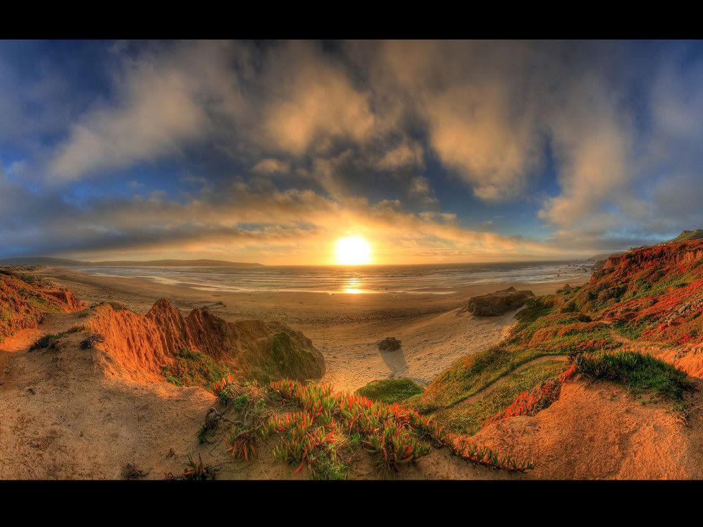 nature_082_1600x.jpg