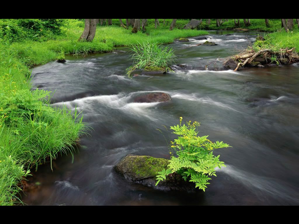 nature_083_1600x.jpg