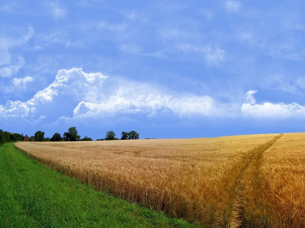 nature_087_1600x.jpg