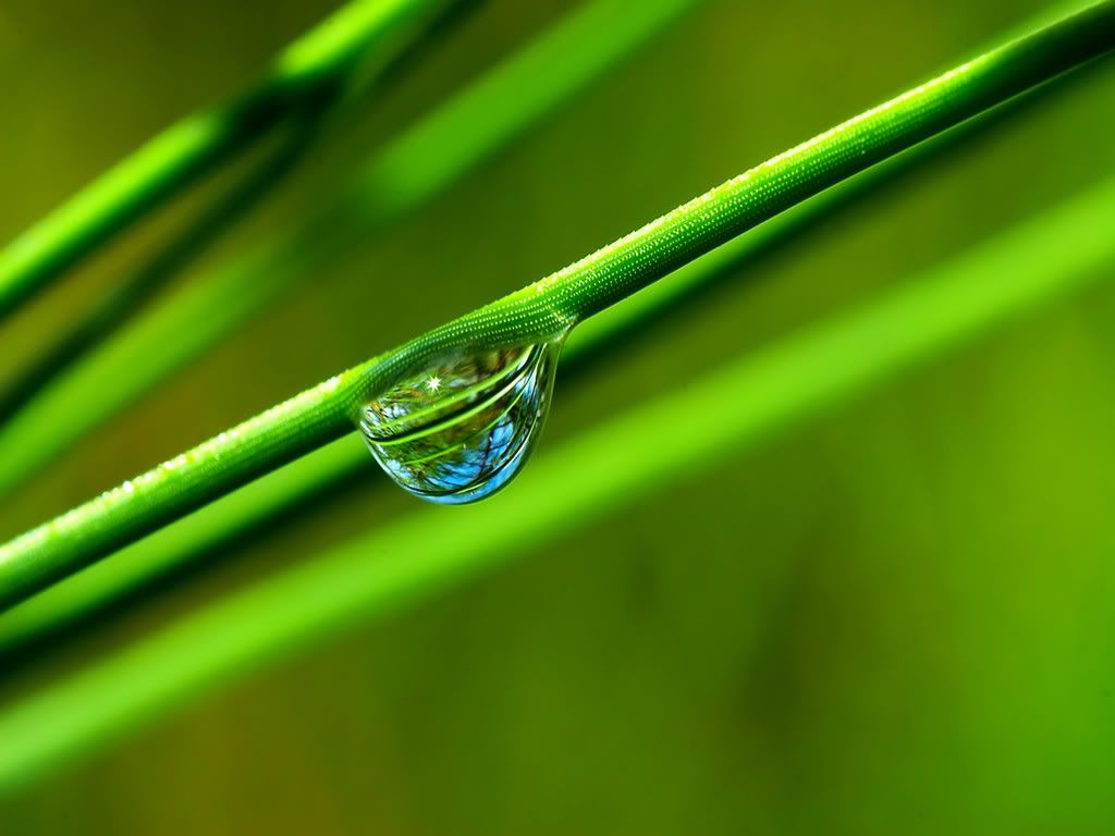 nature_093_1600x.jpg