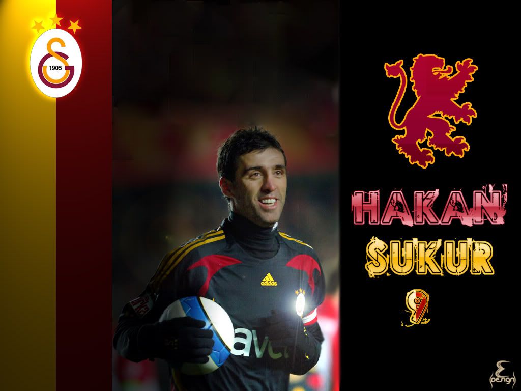 Hakan_Sukur_7.jpg