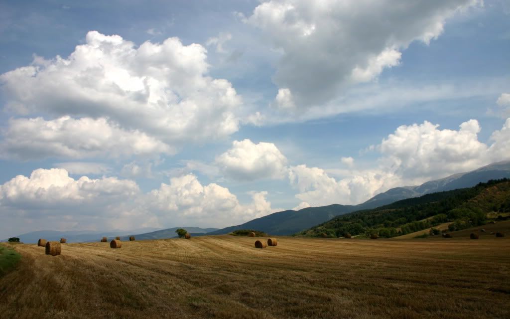 qw6.jpg