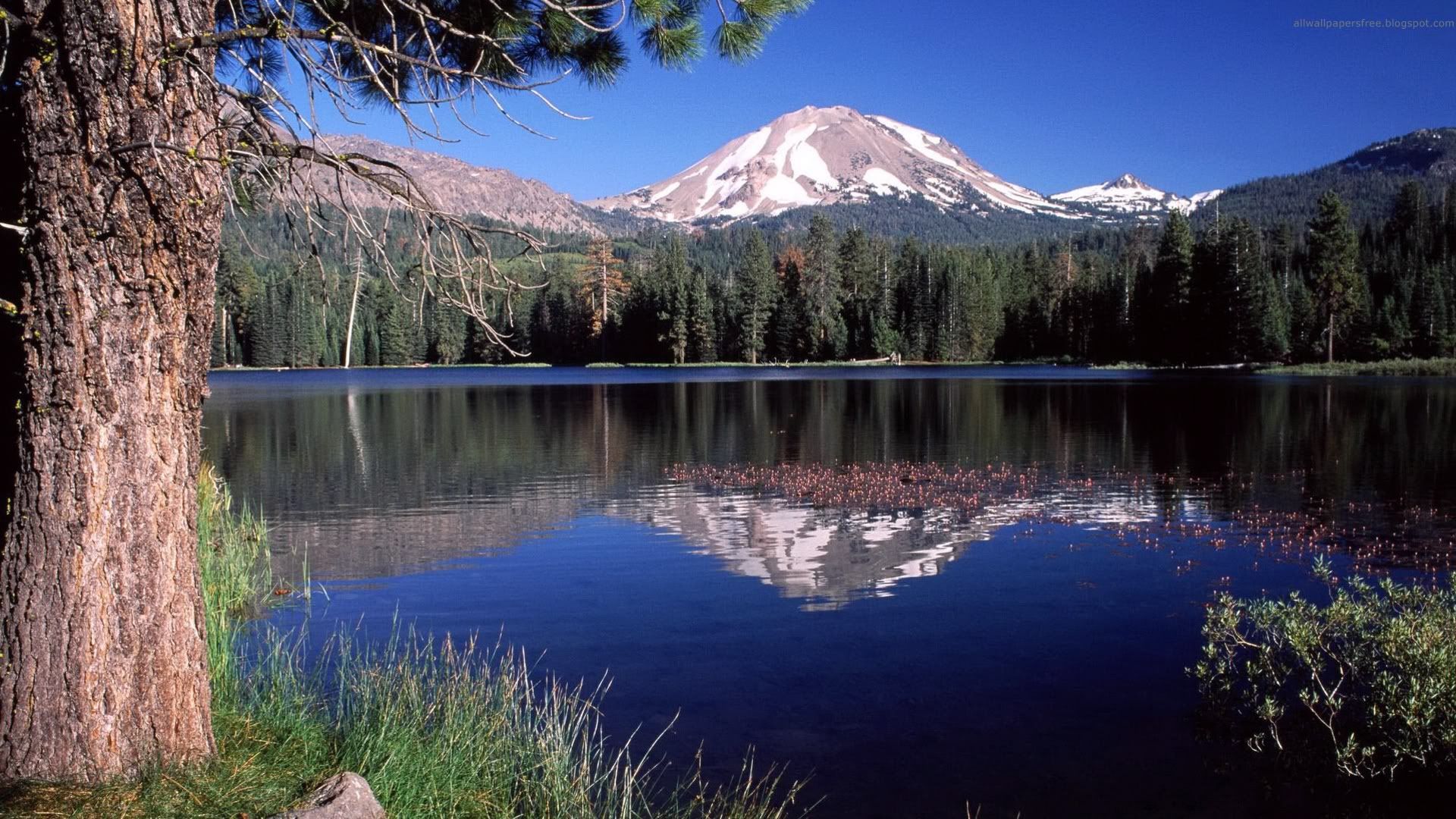 SuperPack_Beautiful_Nature_HD_Wallpapers_Part_19744.jpg