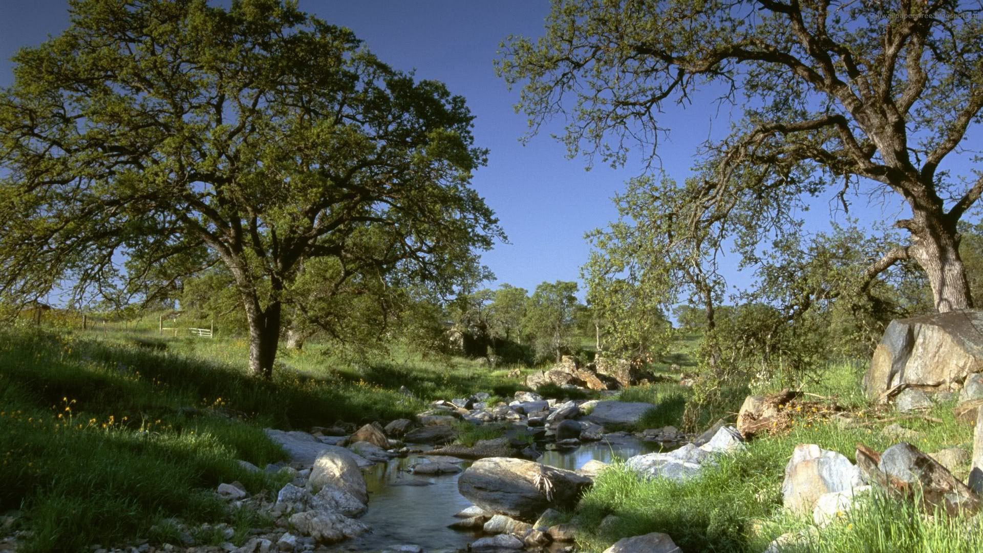 SuperPack_Beautiful_Nature_HD_Wallpapers_Part_19745.jpg