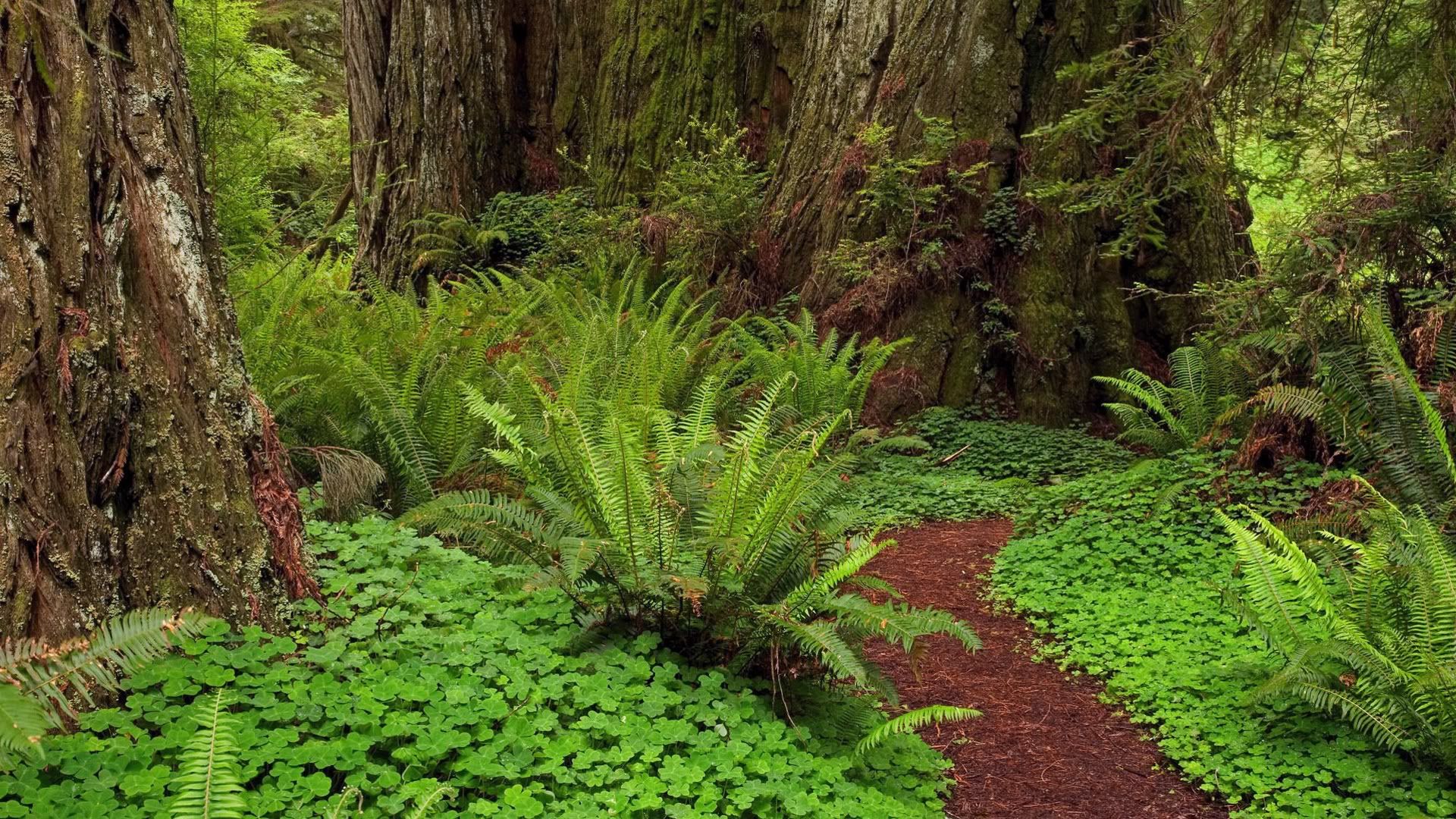 SuperPack_Beautiful_Nature_HD_Wallpapers_Part_19749.jpg