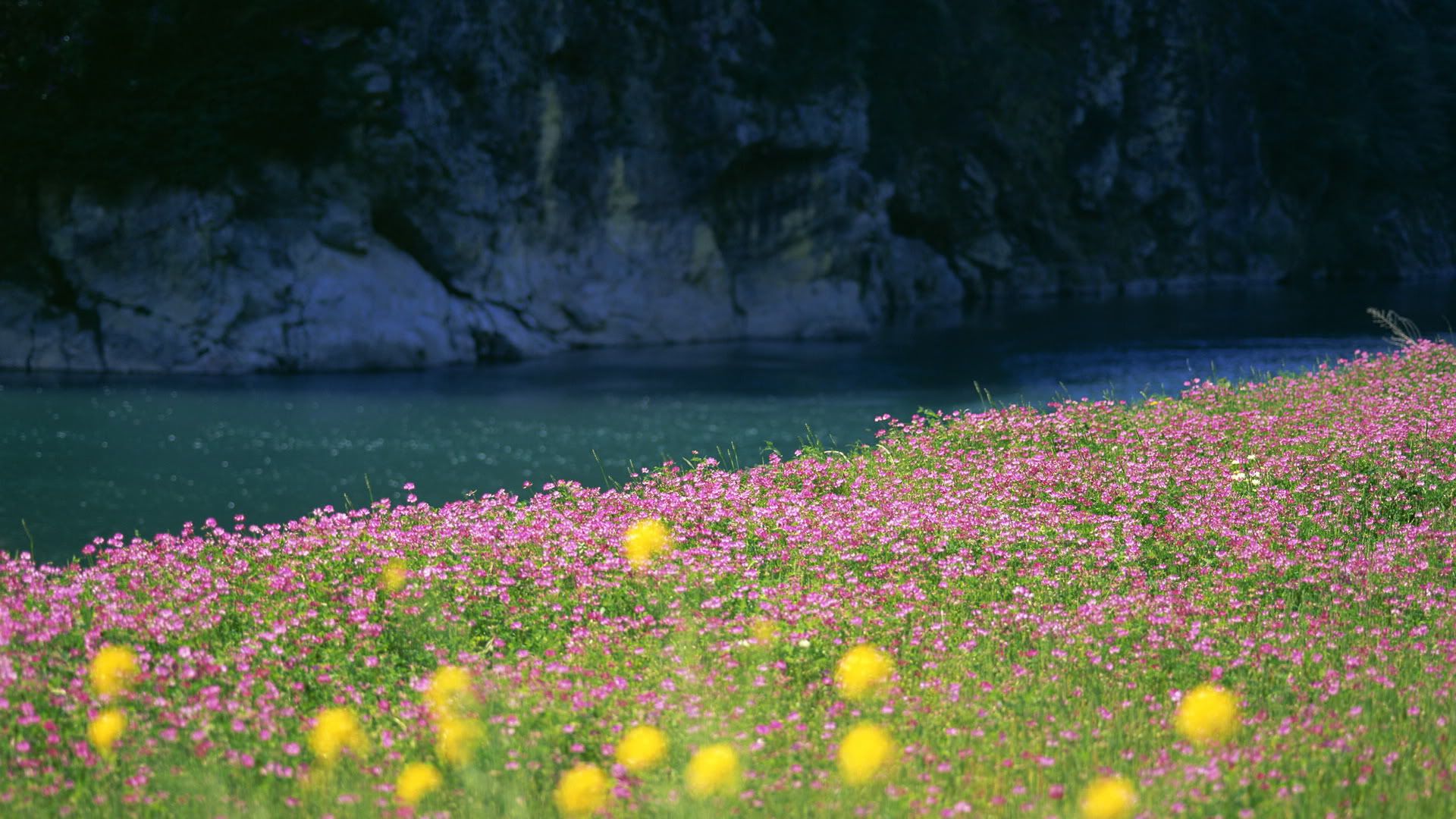 SuperPack_Beautiful_Nature_HD_Wallpapers_Part_19750.jpg