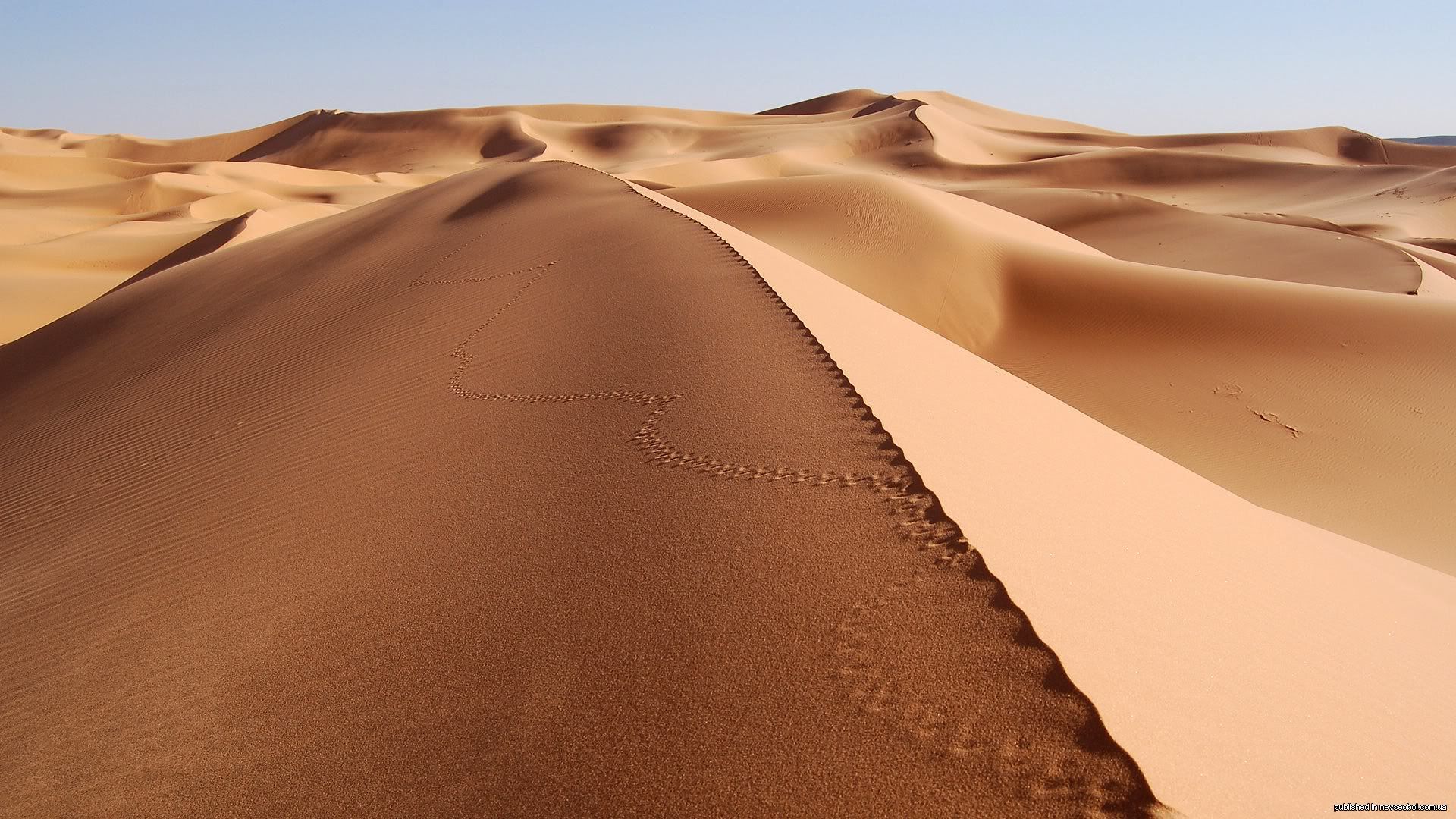SuperPack_Beautiful_Nature_HD_Wallpapers_Part_19756.jpg