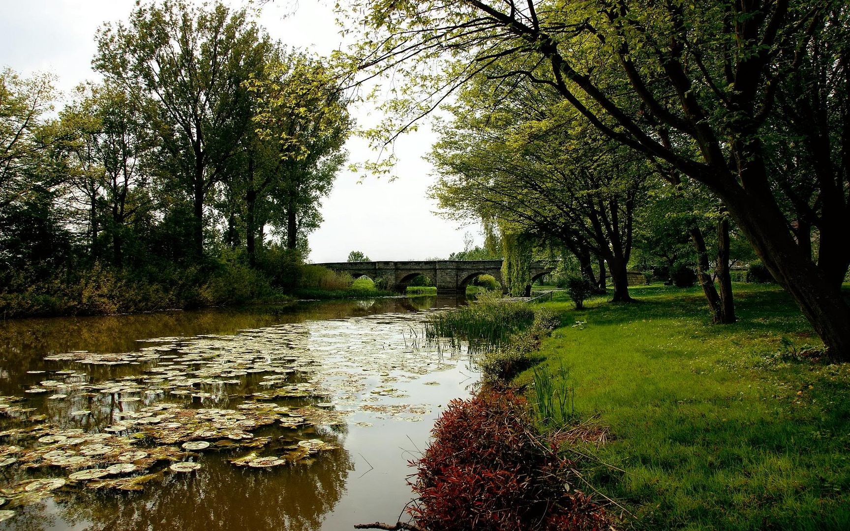 SuperPack_Beautiful_Nature_HD_Wallpapers_Part_19764.jpg
