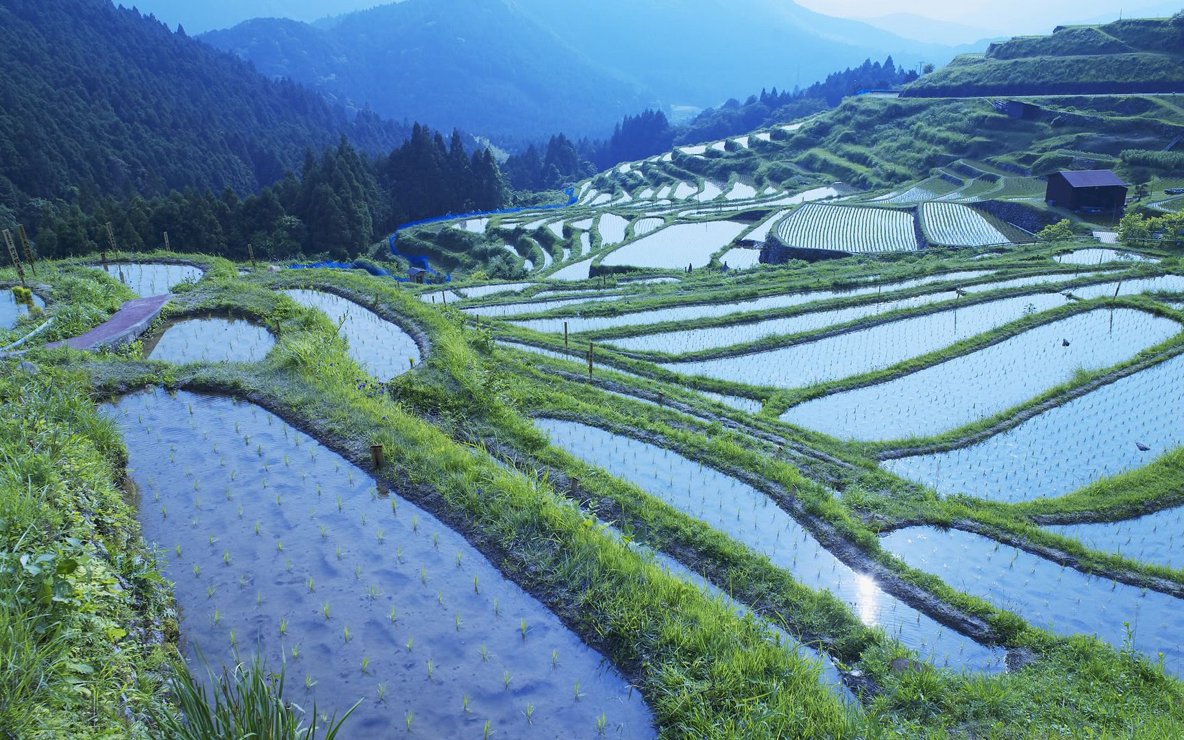 SuperPack_Beautiful_Nature_HD_Wallpapers_Part_19765.jpg