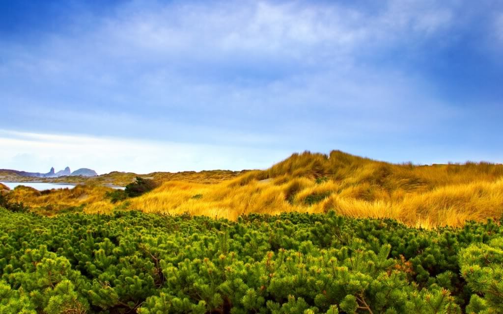 ws_Alpine_Vegetation_1680x1050.jpg