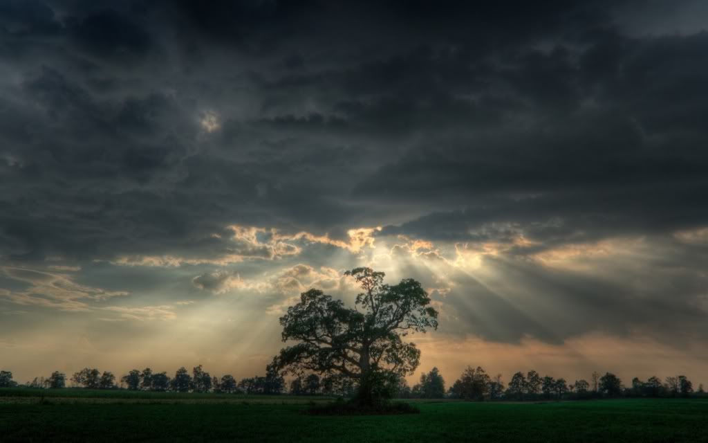 ws_Before_the_Storm_1680x1050.jpg