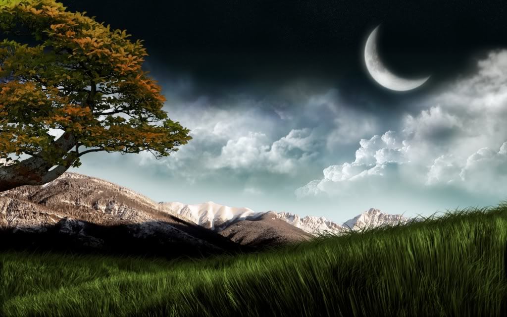 ws_Beyond_the_Field_1680x1050.jpg