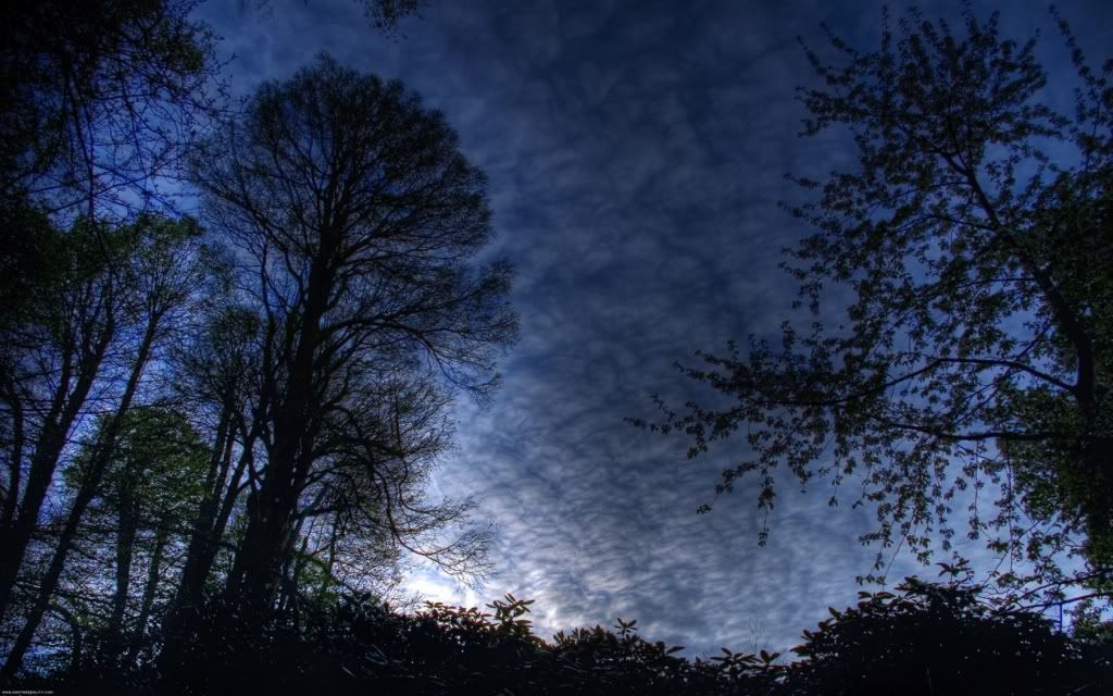 ws_Blue_Morning_1680x1050.jpg