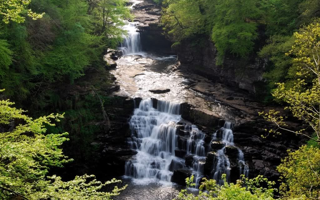 ws_Falls_of_Clyde_1680x1050.jpg