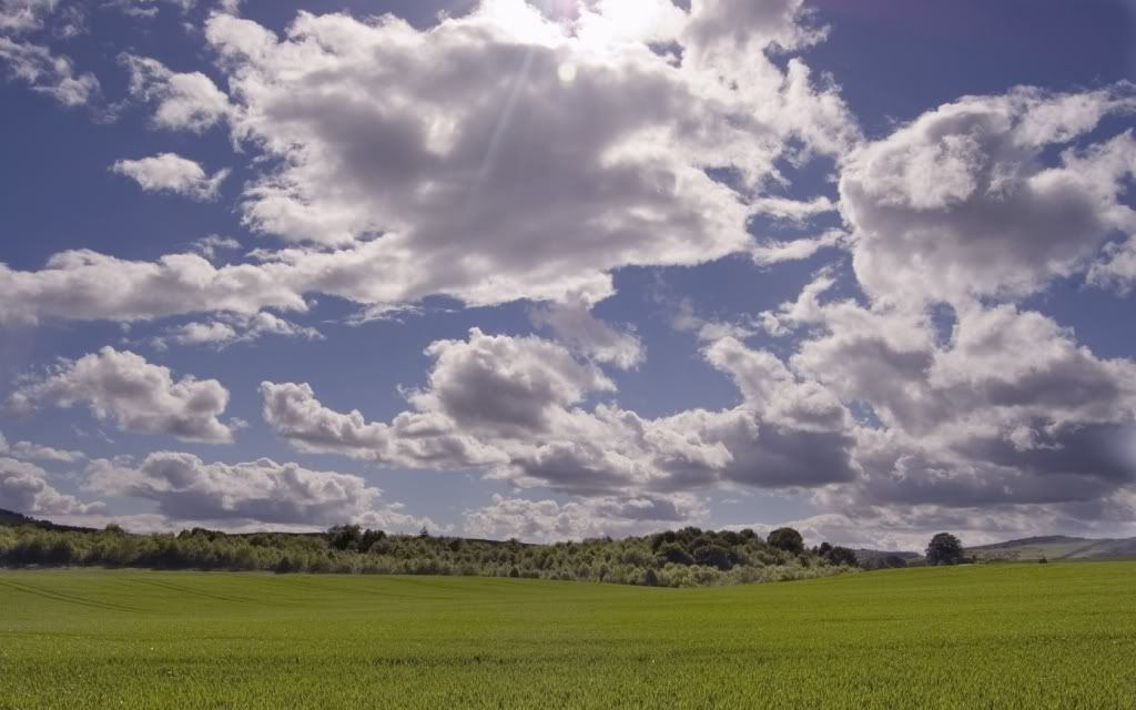 ws_Grass_HD_1680x1050.jpg