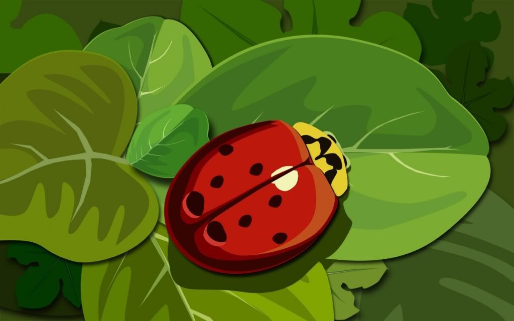 ws_LadyBug_1680x1050.jpg
