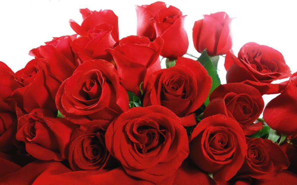 ws_Red_Valentines_1680x1050.jpg