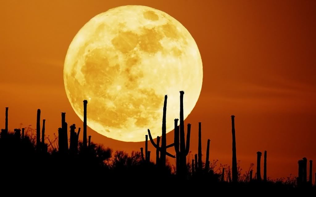 ws_Rising_Moon_1680x1050.jpg