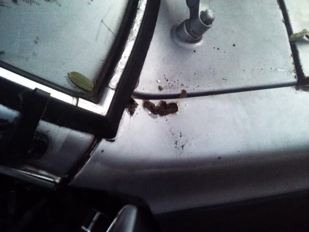 IMAG0205.jpg