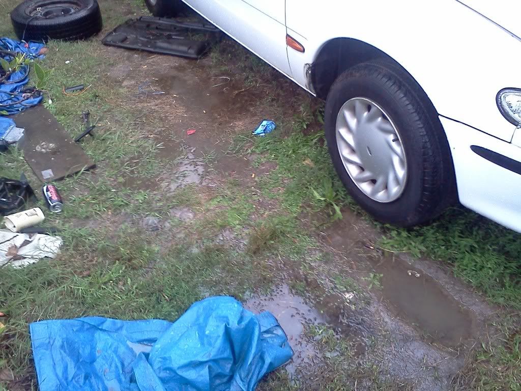 IMG284.jpg