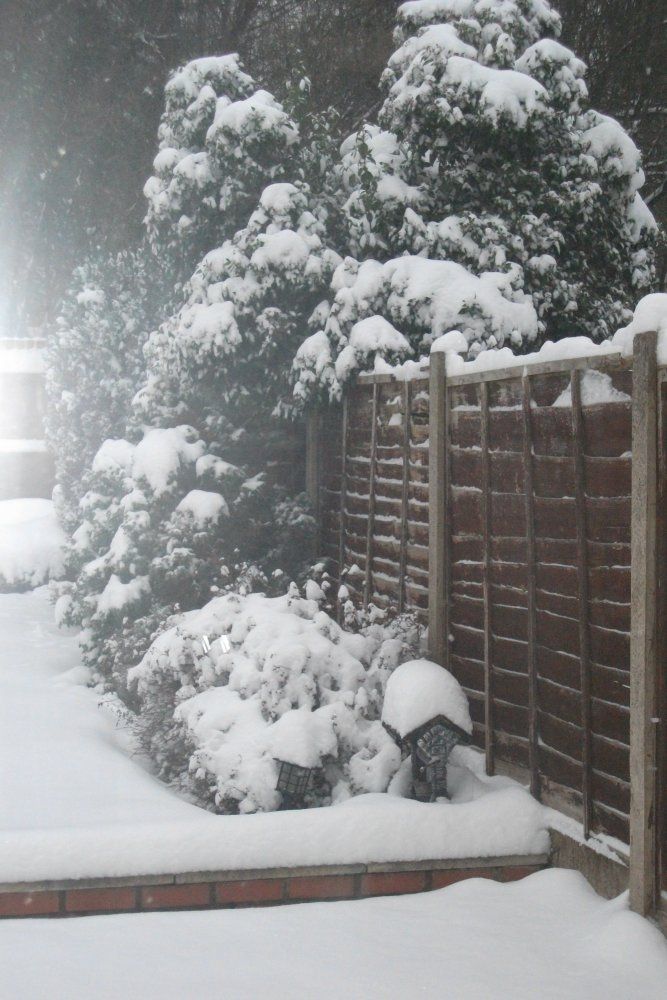 SNOW18Jan2013009.jpg