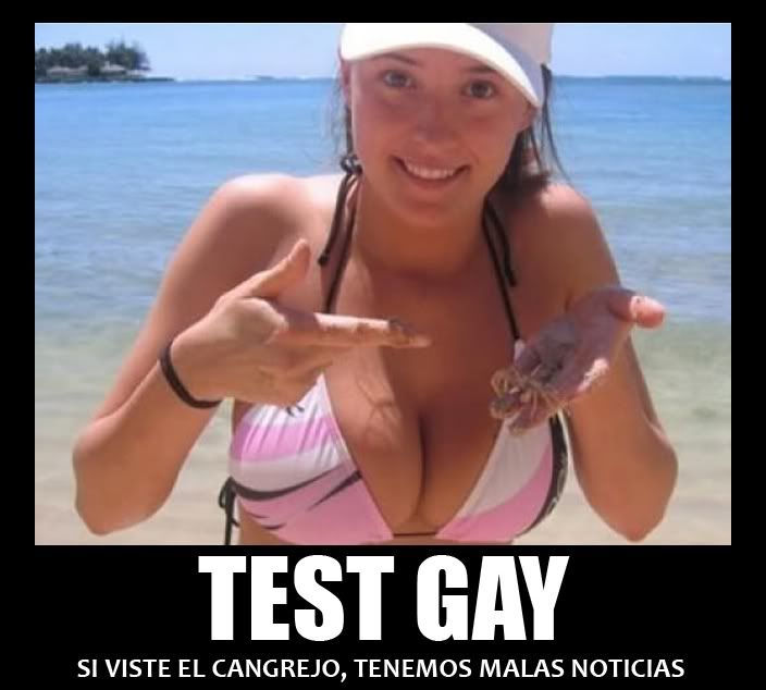 GORDAS BELLAS gordas bellas: