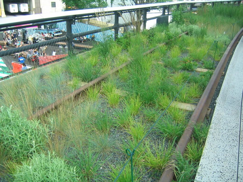 IMG_0121.jpg
