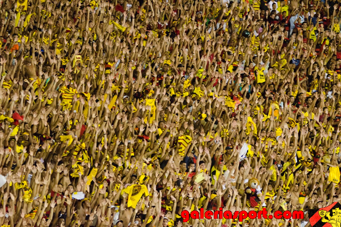 Sport 2 x 0 Botafogo - Linda Torcida
