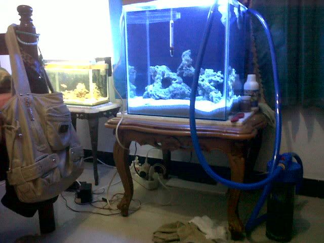 IMG00227-20110301-1946.jpg