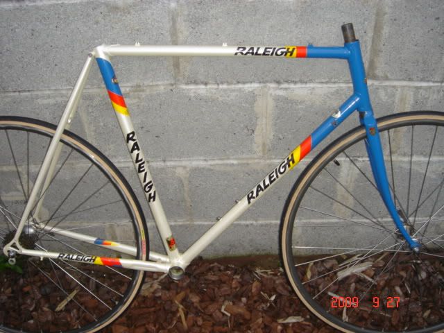 carlton carrera bike