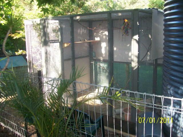 Aviary.jpg?t=1294350988