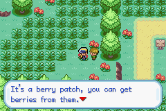 Berries_zps10a63a11.png