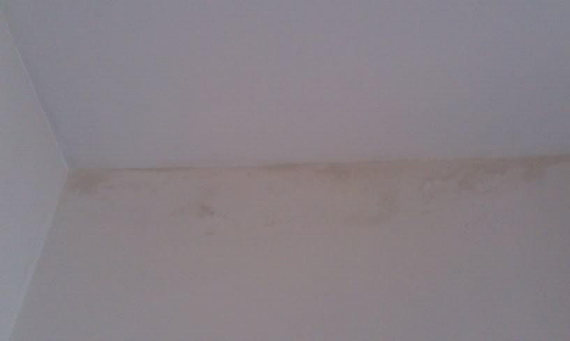 wall2.jpg