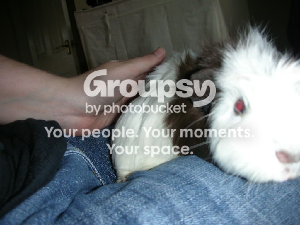 DSCN3626.jpg