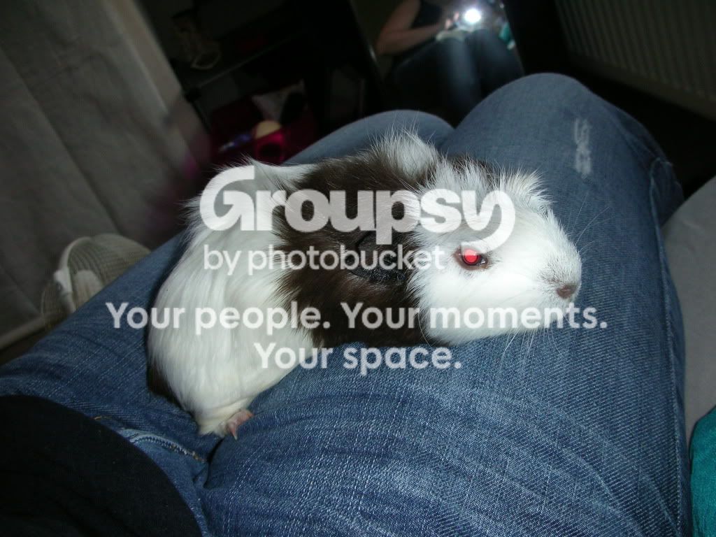 DSCN3627.jpg