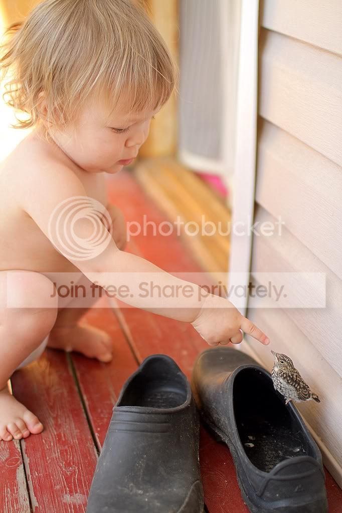 Photobucket Pictures, Images and Photos