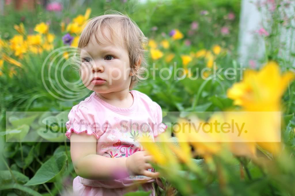 Photobucket Pictures, Images and Photos