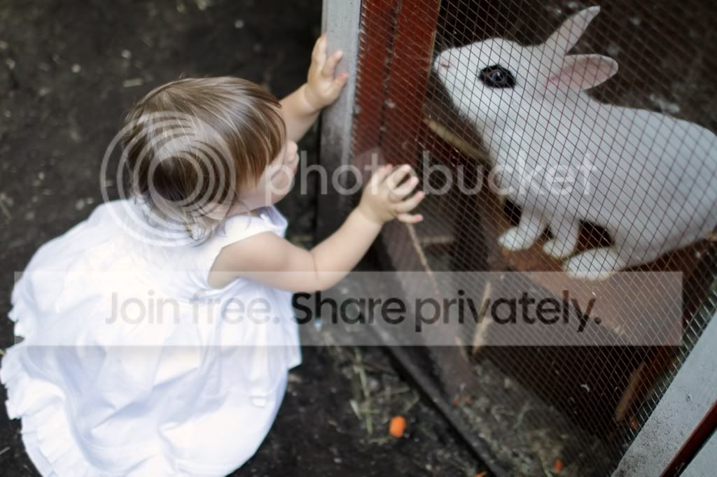 Photobucket Pictures, Images and Photos