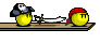 piratinadasci.gif