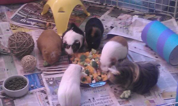 Brekkie.jpg
