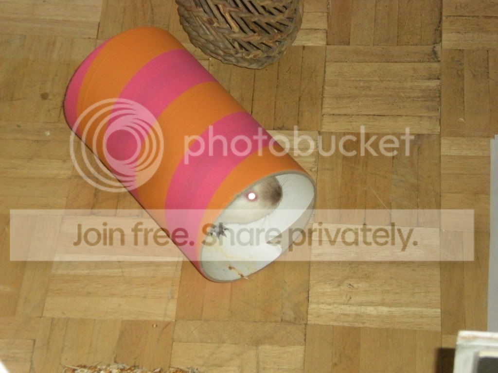 DSCN1365.jpg