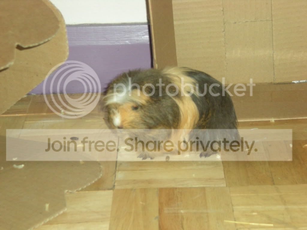 DSCN1370.jpg