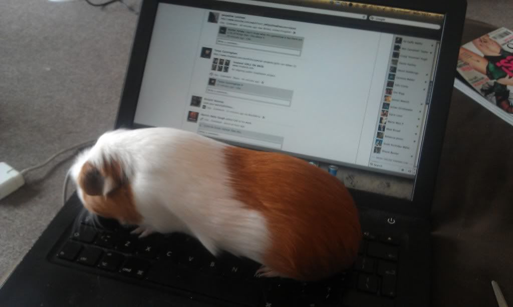 IMAG0158.jpg